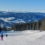 Exclusive cottage Jacuzzi View Ski in out Aurdal