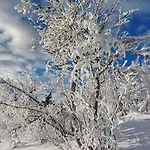 شقة Mountain With Jacuzzi & Views Aurdal