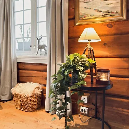 Mountain With Jacuzzi & Views * Aurdal