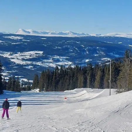Mountain With Jacuzzi & Views Aurdal