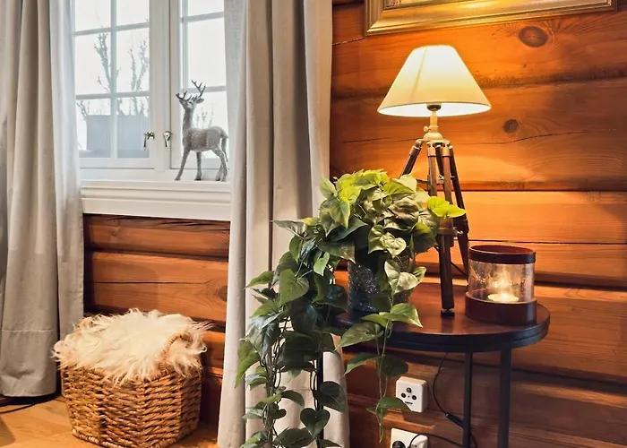 Exclusive Jacuzzi View In Out * Aurdal