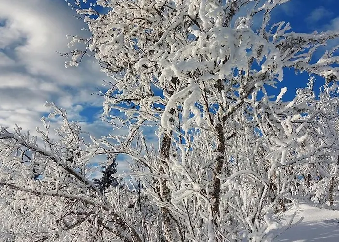 Апартаменты Exclusive Jacuzzi View In Out Aurdal